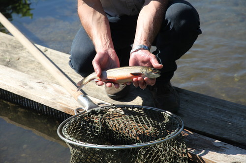 Fischzucht