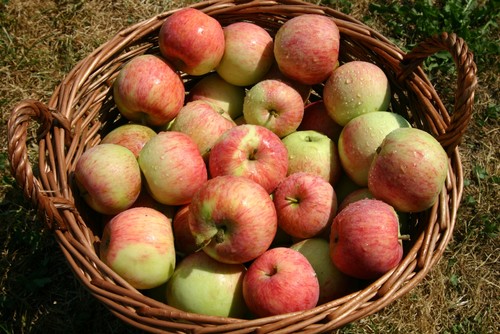 Kelterei