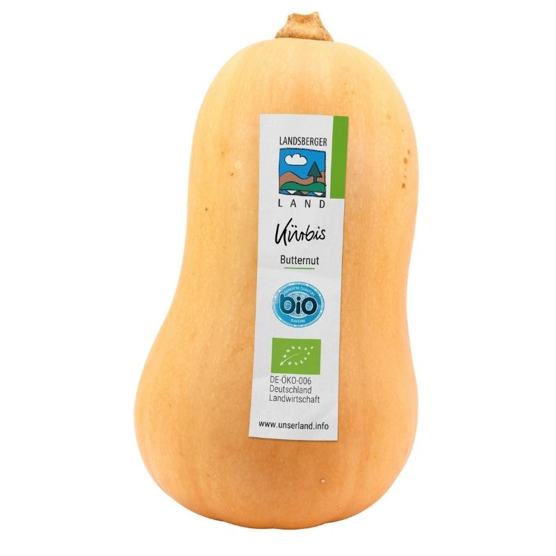 Bio Butternut Kürbis