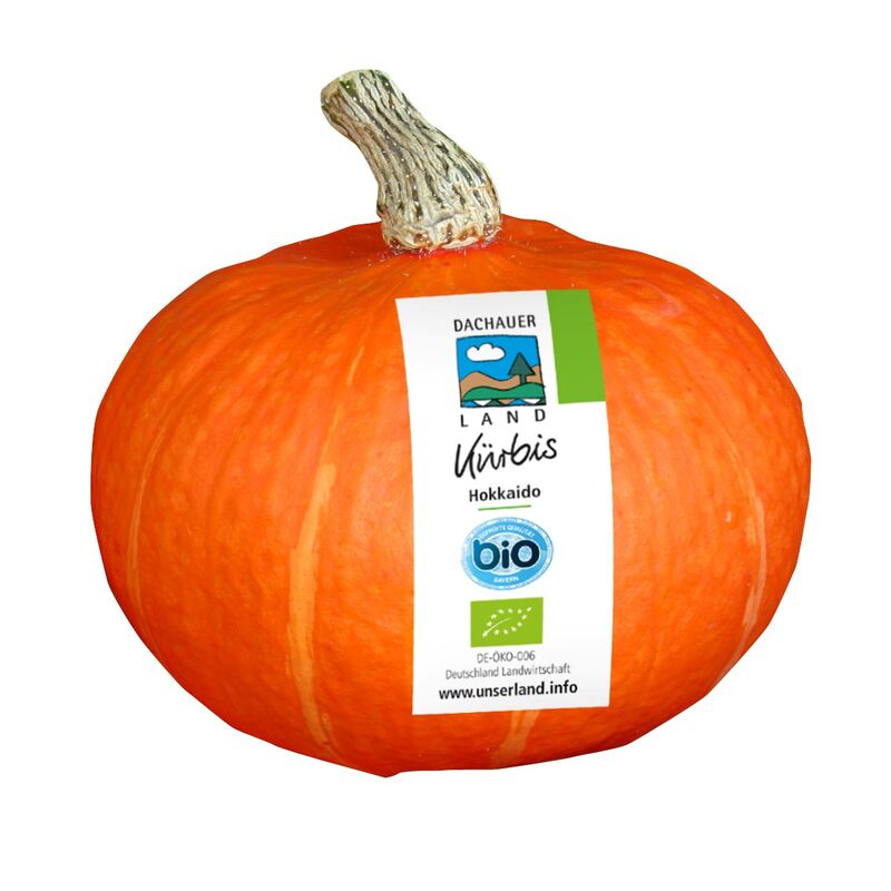 Bio Kürbis