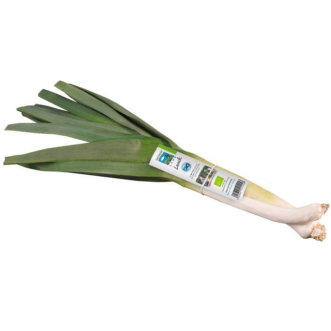 Bio Lauch