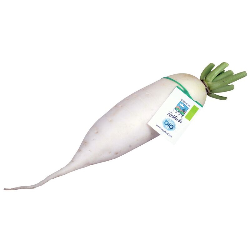 Bio Rettich