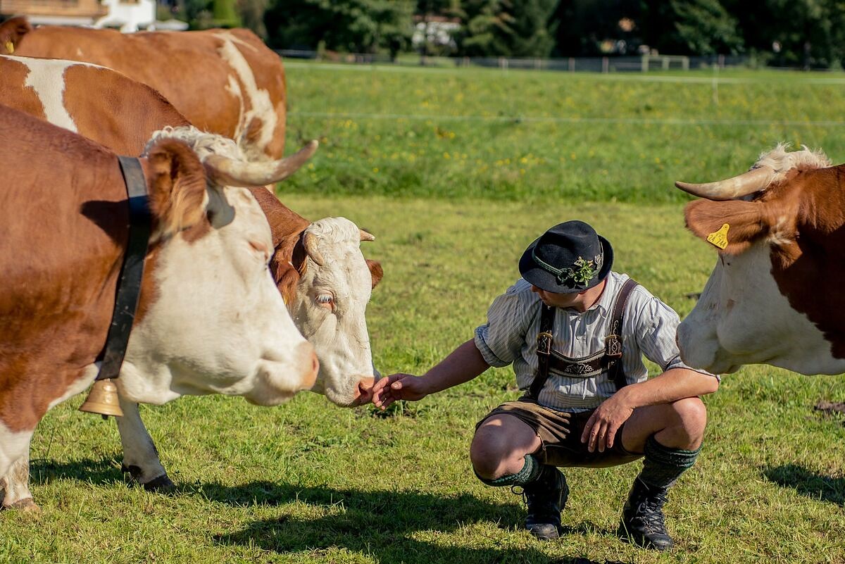 Die Milch stammt zu 100% von Milchbauern aus dem MIESBACHER LAND.