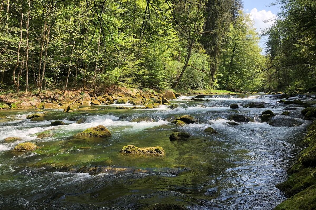 Trinkwasserschutz durch ökologischen Landbau