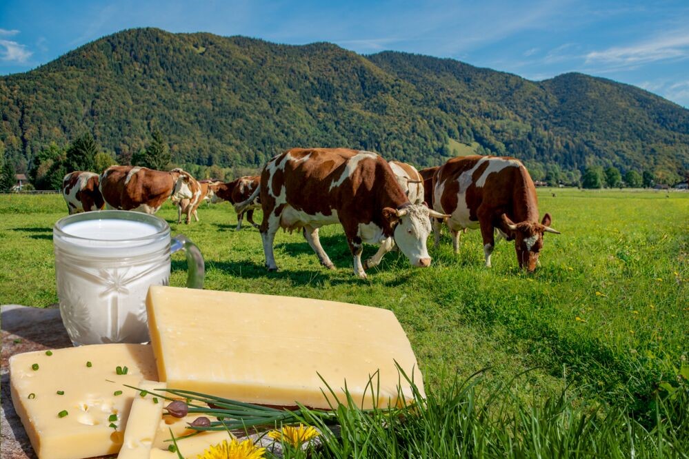 Die UNSER LAND BIO Milch ist im Fettgehalt naturbelassen.