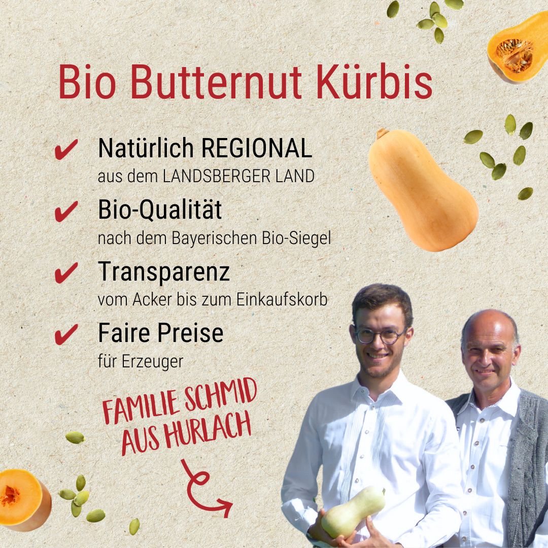 Bio Butternut Kürbis