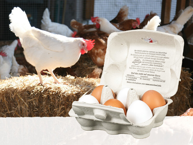 Eier