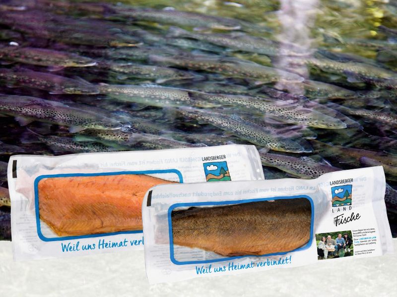 Fisch