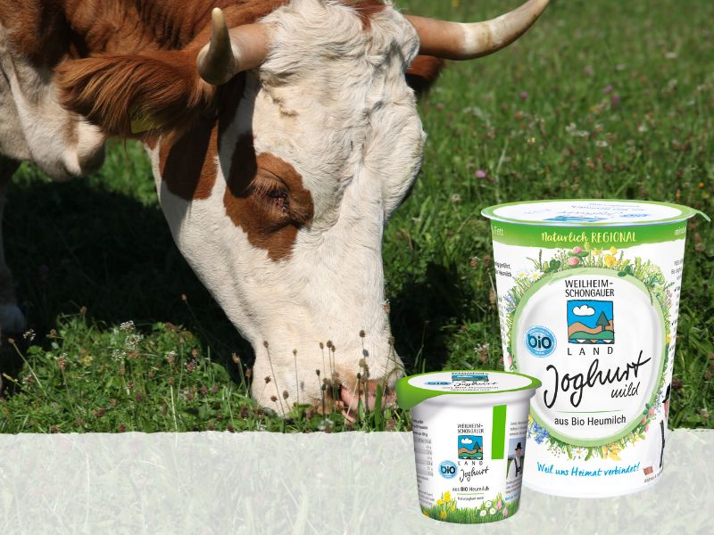 Joghurt