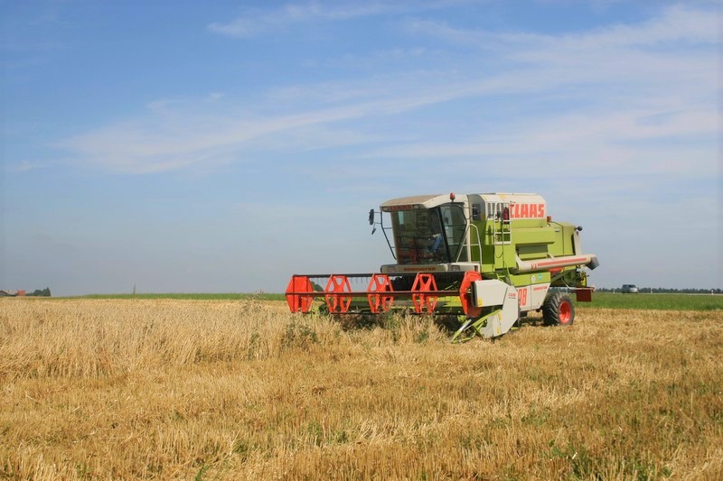 Landwirtschaft & Handwerk