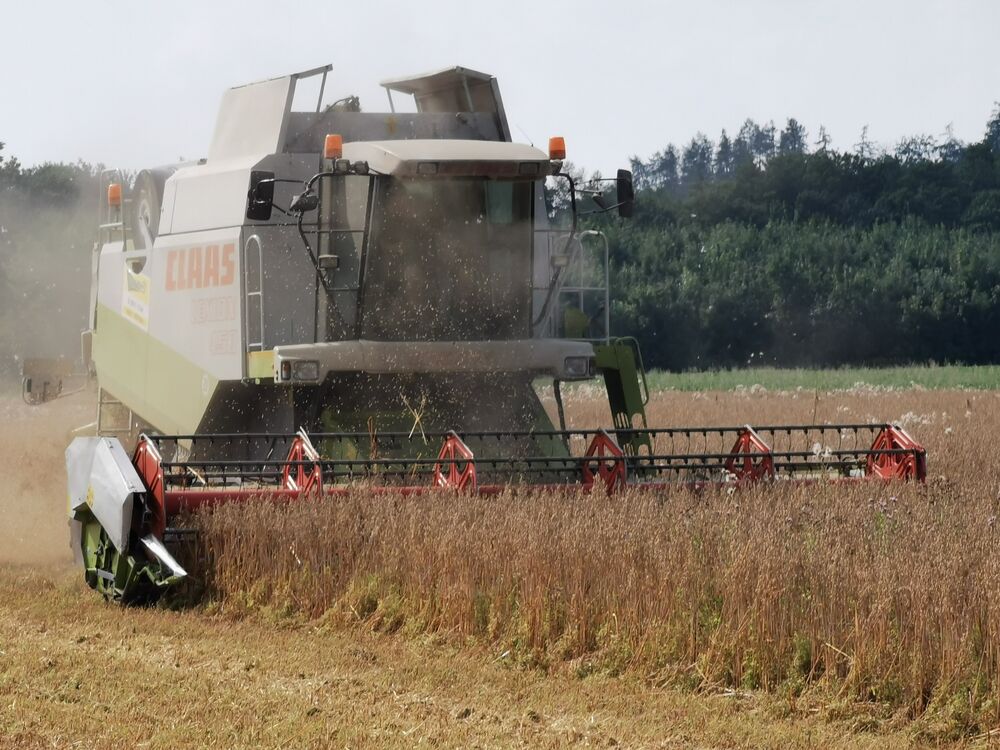 13.08.20 BIO-Linsen-Ernte im Landkreis Fürstenfeldbruck