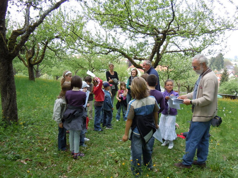 Schule auf der Streuobstwiese und beim Imker