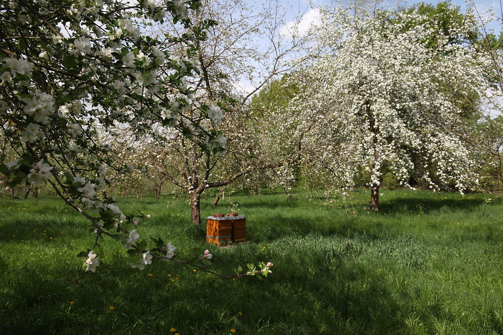 DACHAUER LAND Schule auf der Streuobstwiese
