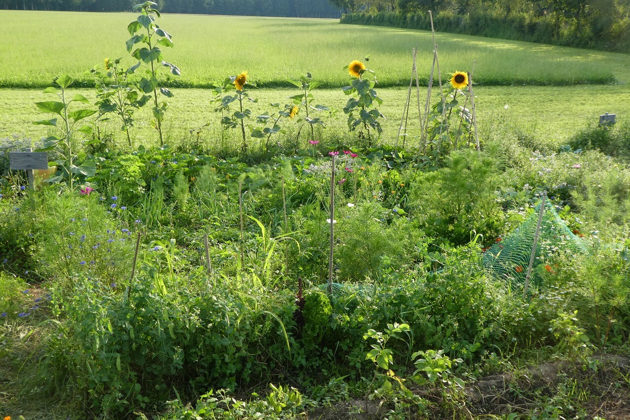 31.07.2021 Mitgliederversammlung EBERSBERGER LAND