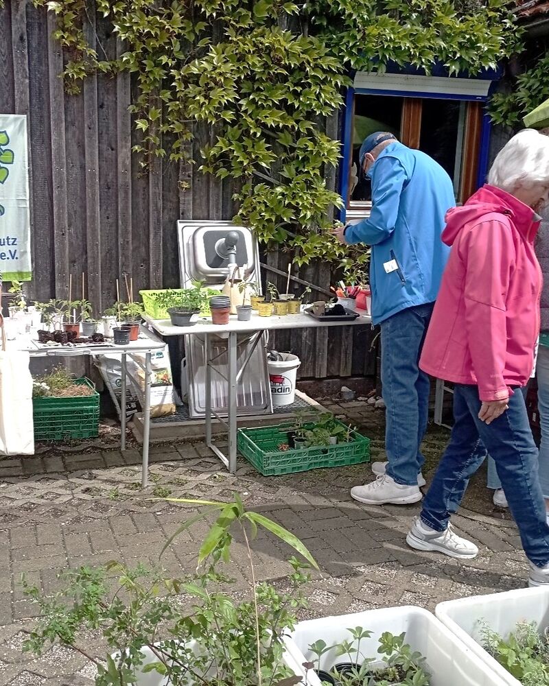Soli LL Pflanzentauschaktion 2025 05 07 02