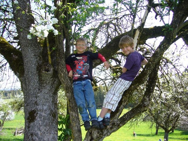 OBERLAND Schule auf der Streuobstwiese