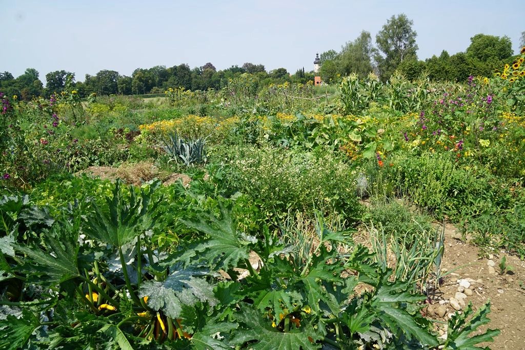 STARNBERGER LAND Sonnenäcker