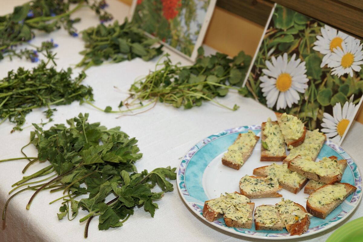 26.04.19 Auftaktveranstaltung 'Natur erleben'