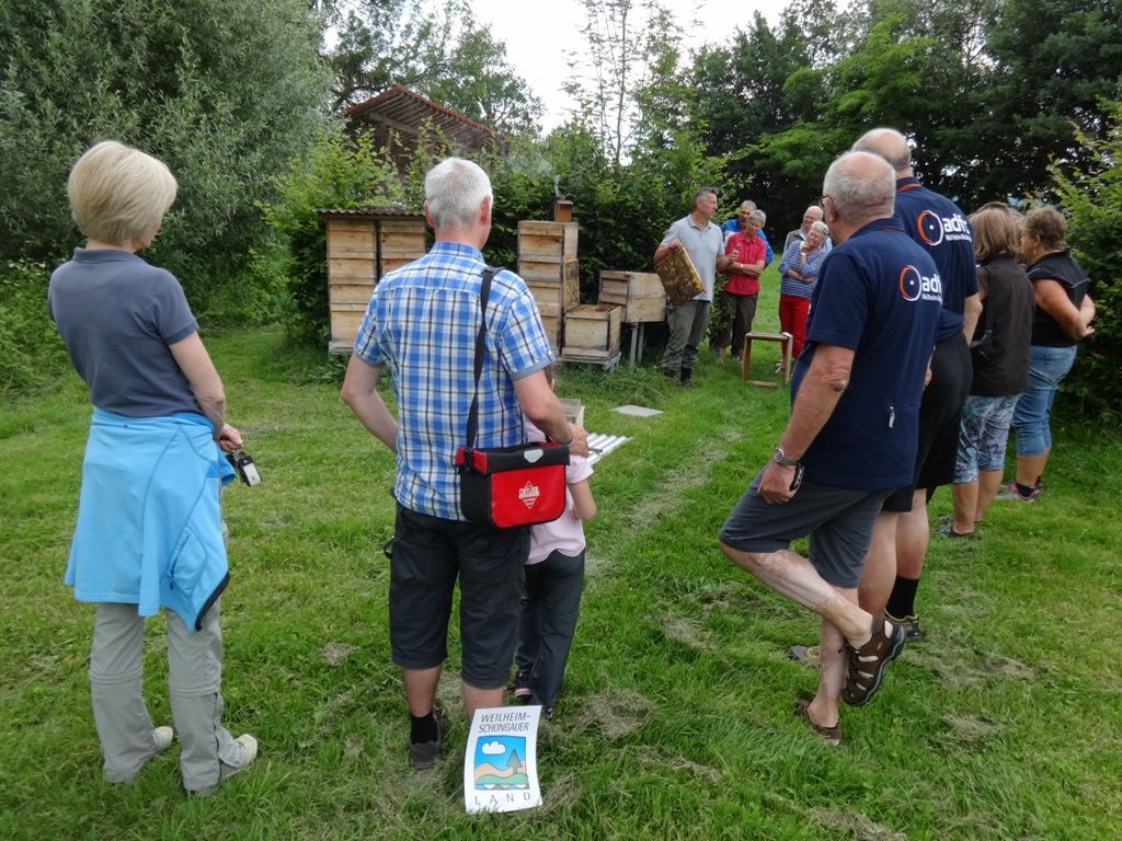 16.07.18 ADFC-Radler besuchen WEILHEIM-SCHONGAUER LAND Bienen