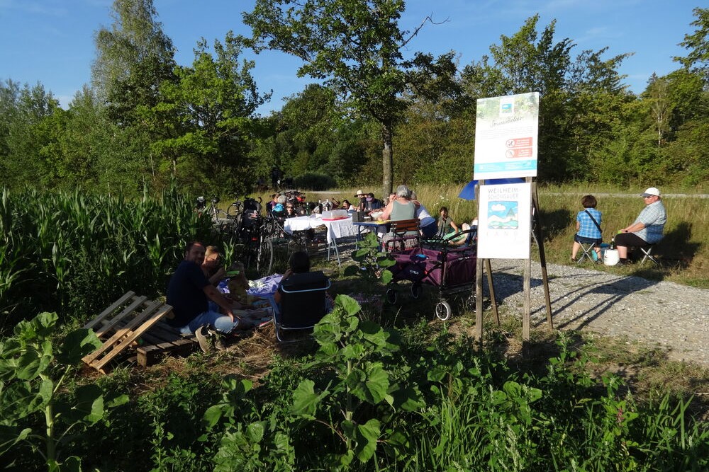 30.07.2023 Sonnenackerratsch zum Sonnenuntergang 