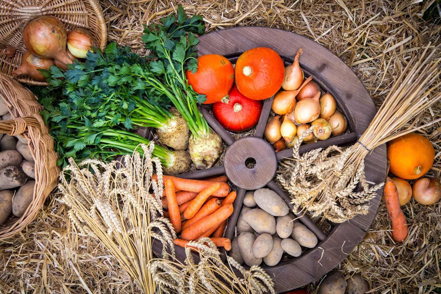 29.09.2022 Herbstzeit ist Ernte(dank)zeit