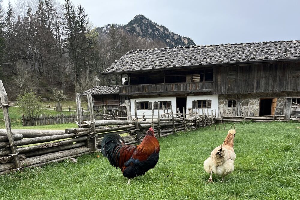 29.03.2024 Wasmeier Freilichtmuseum: Regionale und bunte Vielfalt an Ostern