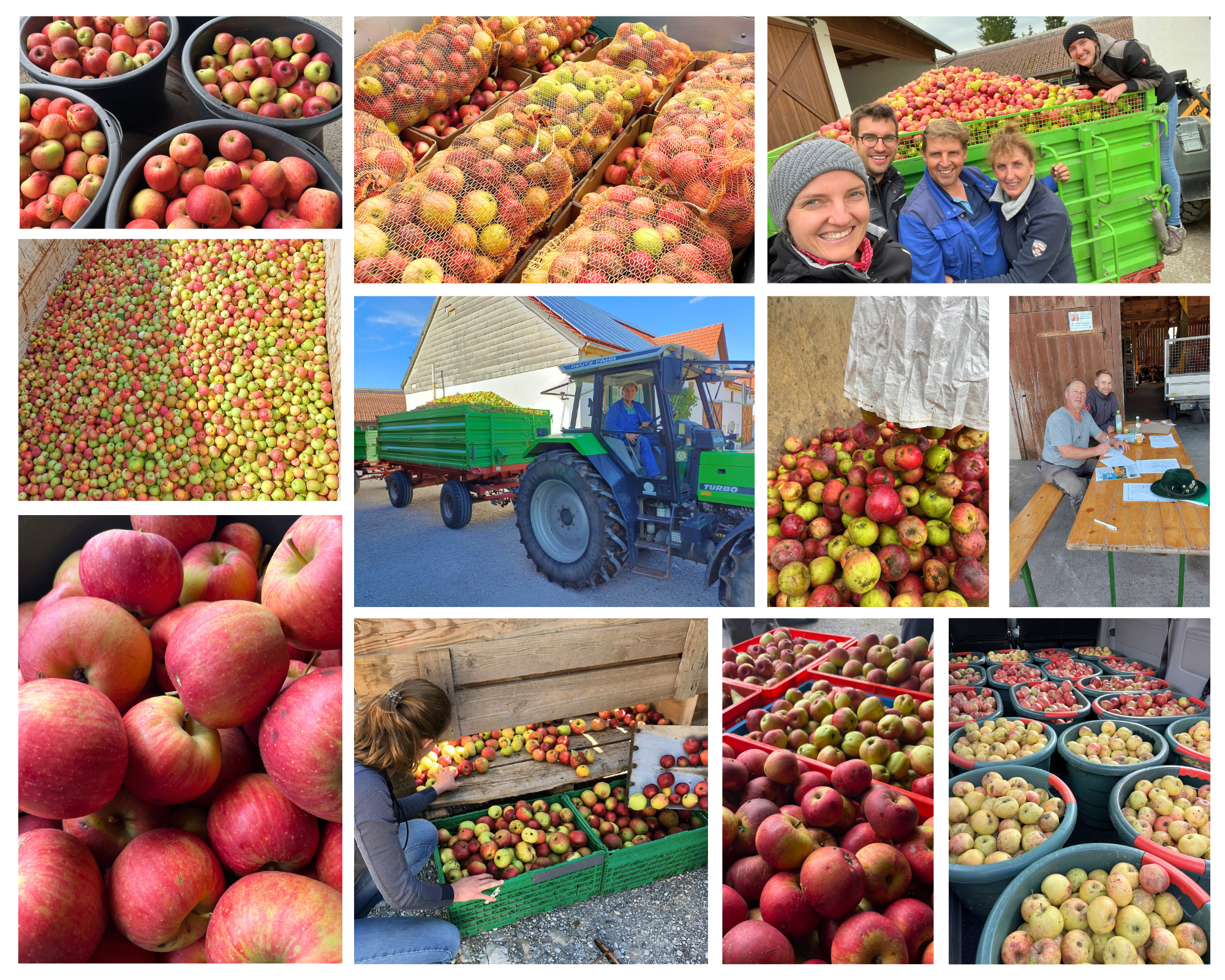 Apfelsammlung 2025 2025 11 05