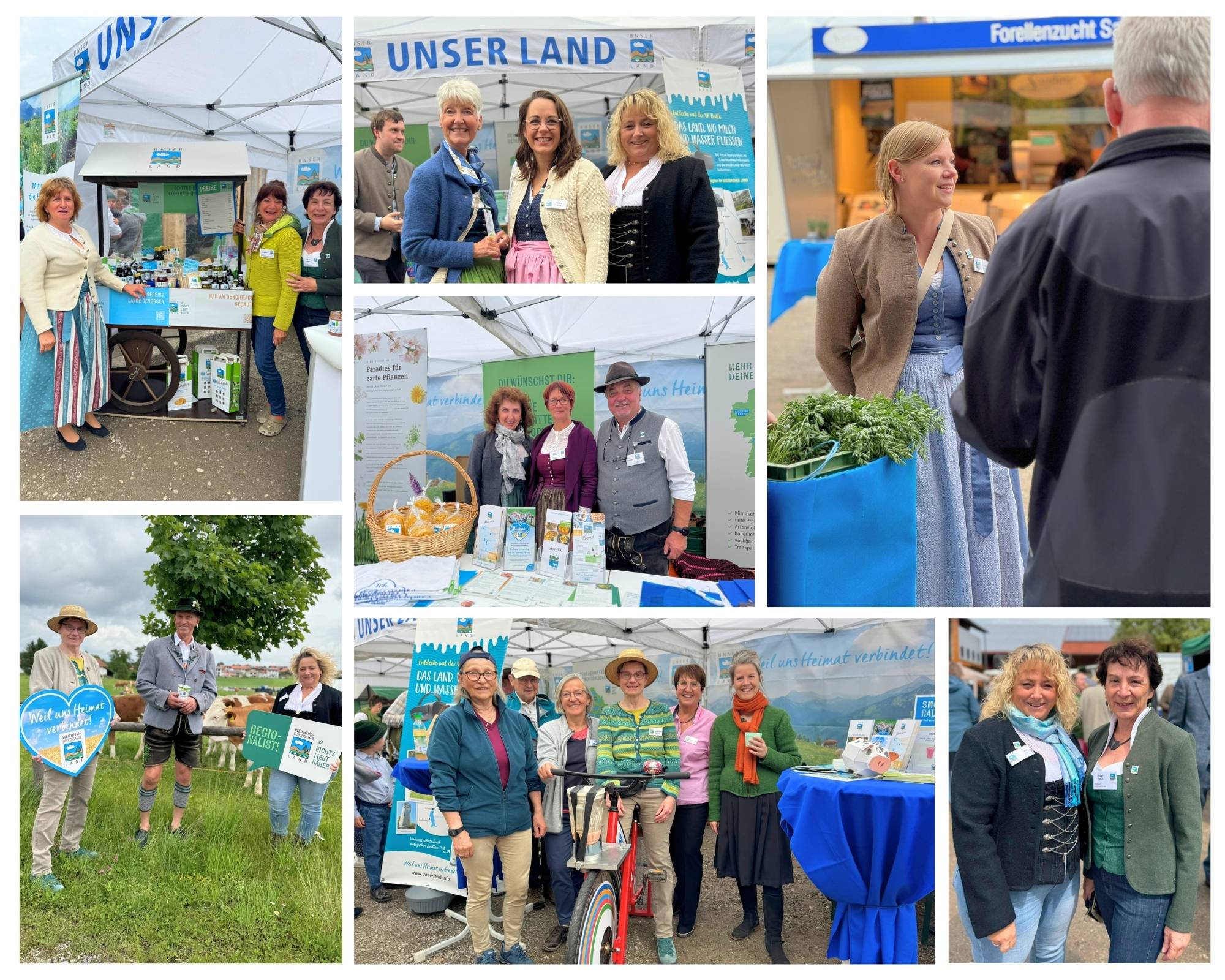 Netzwerkfest Foto Collage Ehrenamtliche