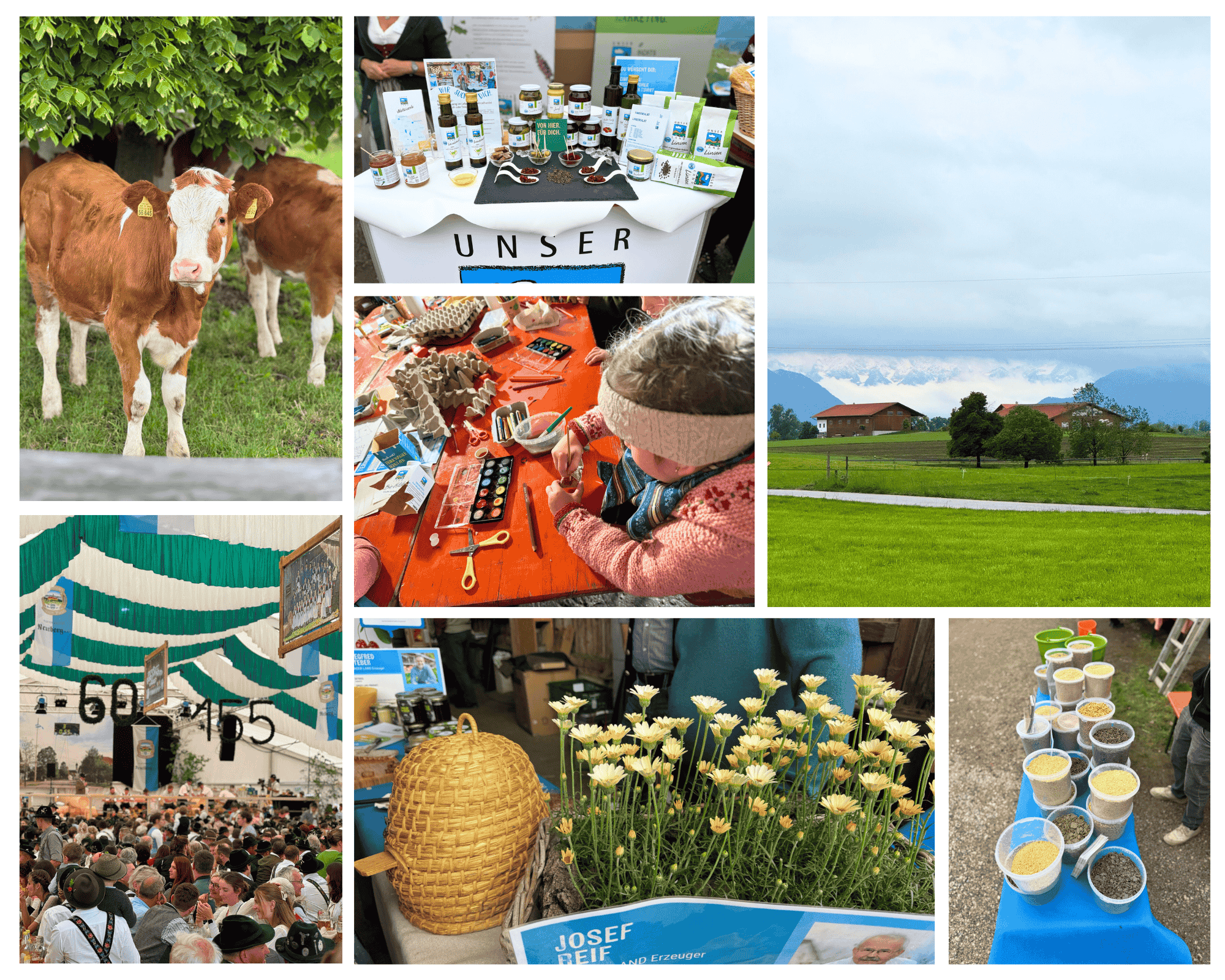 Netzwerkfest Foto Collage Umgebung