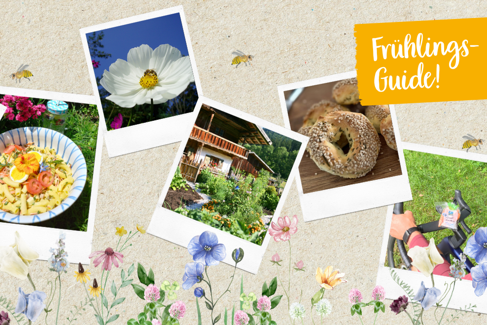 29.04.2026 Acht Ideen für den Frühling in der Region