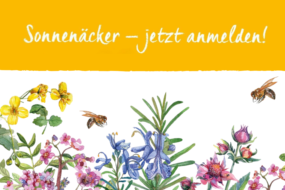 05.02.2026 Die Sonnenackersaison startet – mit Freude säen, pflegen und ernten