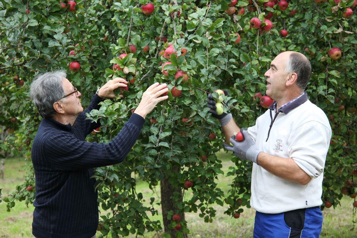 05.09.19 UNSER LAND Streuobstsammlung